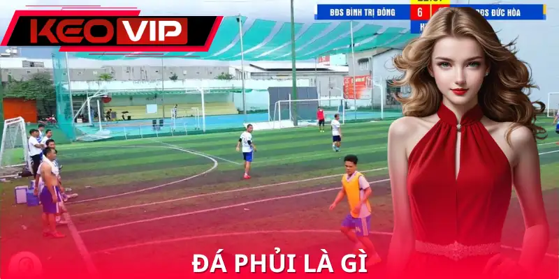 Đá Phủi Là Gì
